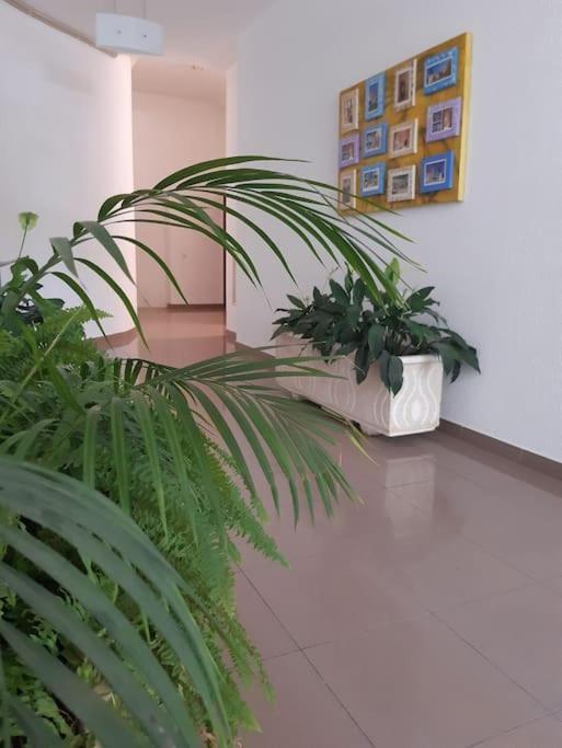 Apartamento Batalha - Quarteira, Algarve, Portugal Eksteriør billede