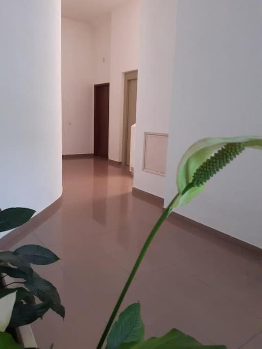 Apartamento Batalha - Quarteira, Algarve, Portugal Eksteriør billede